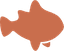 Nemo Canvas